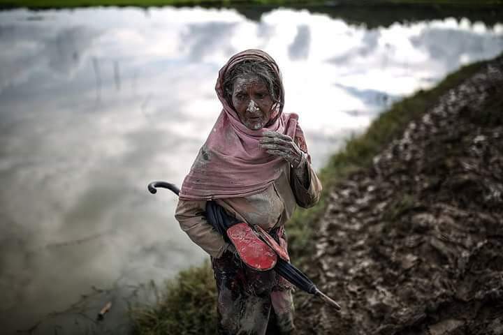 Dvanaest Rohingya sela spaljeno na sjeverozapadu Mijanmara